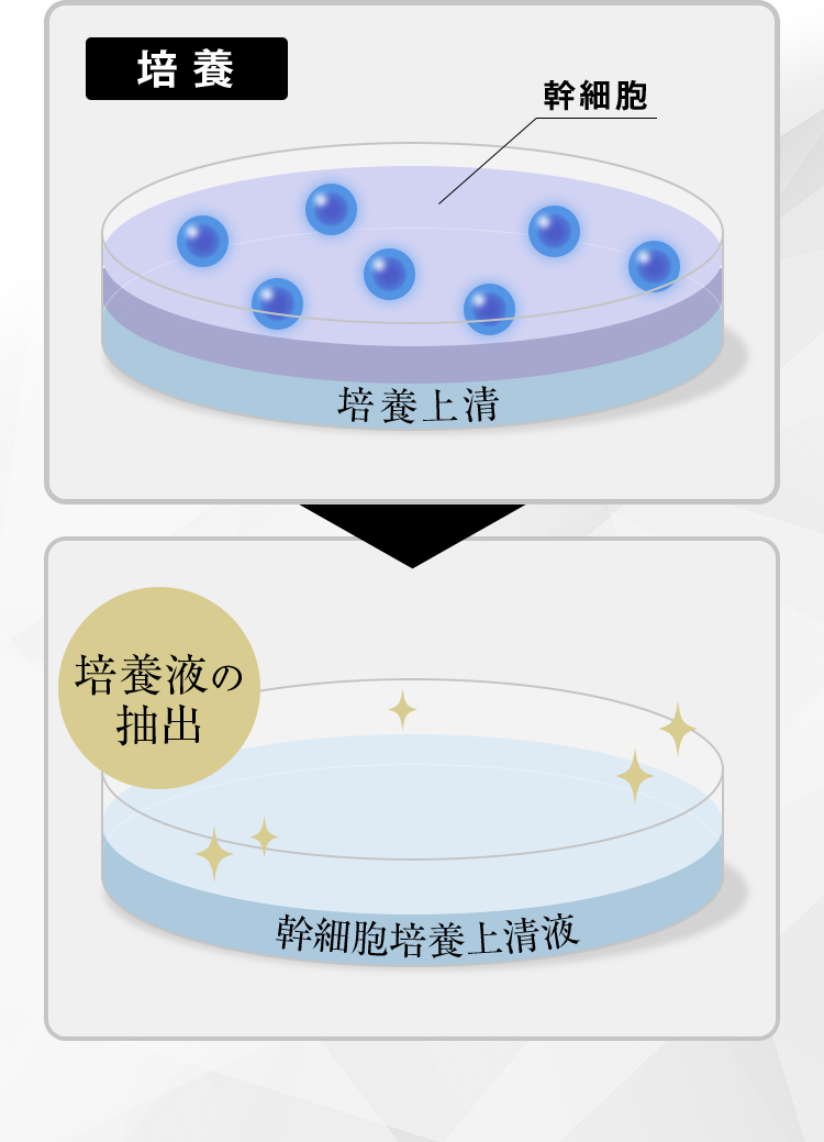 幹細胞培養上清液イメージ